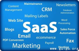 新西兰告别软件专利 创新生态的新篇章